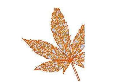 電腦繡花針數(shù)計(jì)算及數(shù)據(jù)轉(zhuǎn)換法